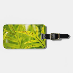 USA, Hawaii, Big Island. Tropical Green Fern Luggage Tag