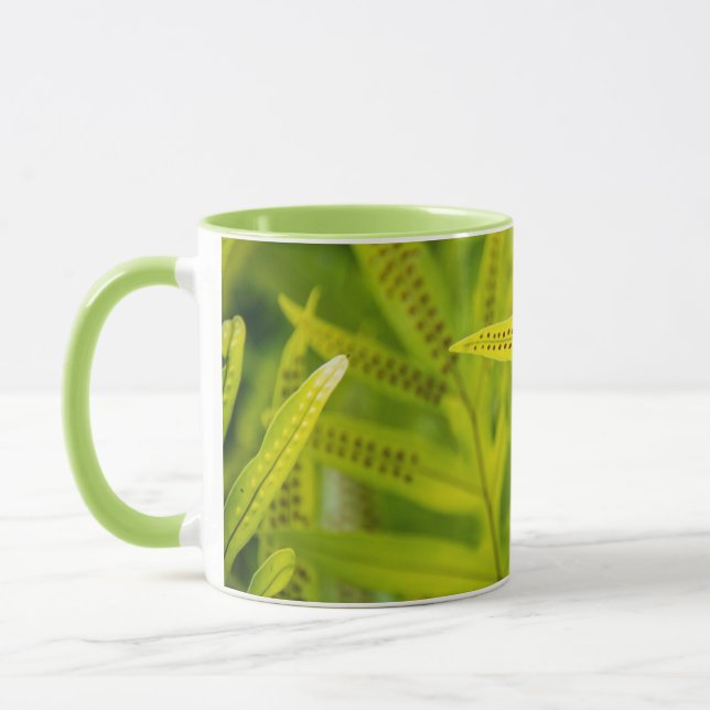 USA, Hawaii, Big Island. Tropical Green Fern Mug (Left)