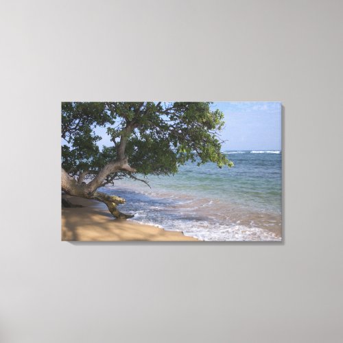 USA Hawaii Kauai beach scenic RF Canvas Print