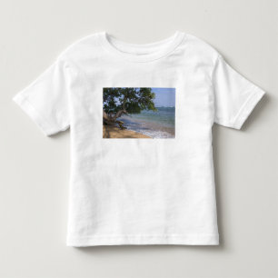 USA, Hawaii, Kauai, beach scenic. RF) Toddler T-shirt