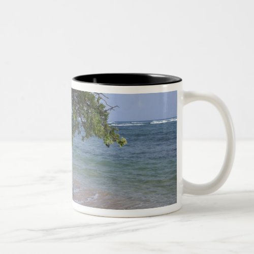 USA Hawaii Kauai beach scenic RF Two_Tone Coffee Mug