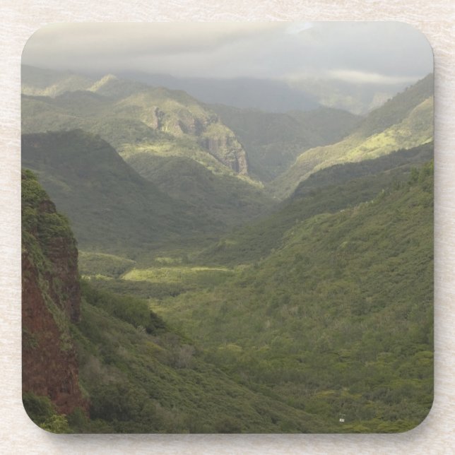 USA, Hawaii, Kauai, Canyon overlook. (RF) Beverage Coaster (Front)