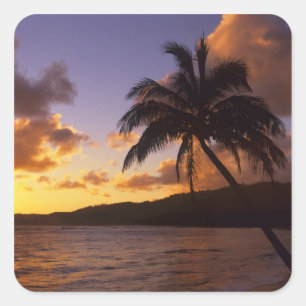 USA, Hawaii, Kauai, Colorful sunrise in a 2 Square Sticker