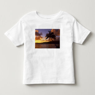USA, Hawaii, Kauai, Colorful sunrise in a 2 Toddler T-shirt