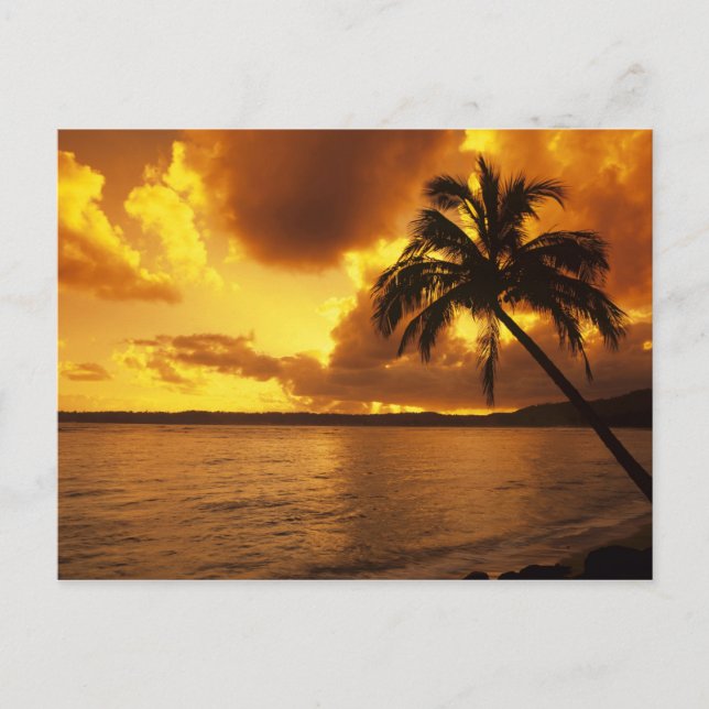 USA, Hawaii, Kauai, Colorful sunrise in a Postcard (Front)