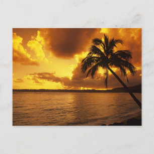 USA, Hawaii, Kauai, Colorful sunrise in a Postcard