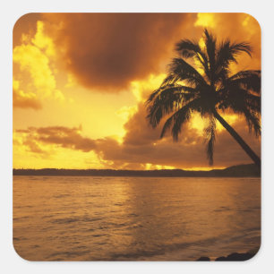 USA, Hawaii, Kauai, Colorful sunrise in a Square Sticker