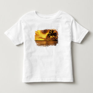 USA, Hawaii, Kauai, Colorful sunrise in a Toddler T-shirt