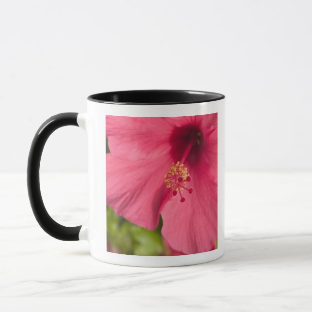 USA, Hawaii, Kauai, Hibiscus Mug (Left)