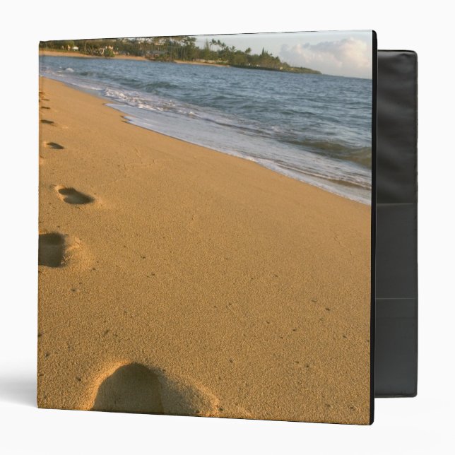 USA, Hawaii, Kauai, Kapa'a, beachfront. Binder (Front/Inside)