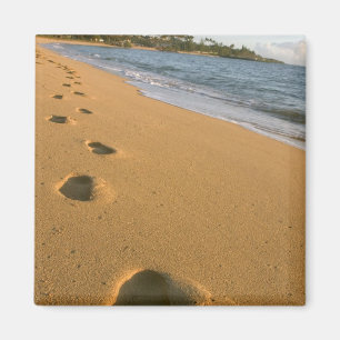 USA, Hawaii, Kauai, Kapa'a, beachfront. Magnet