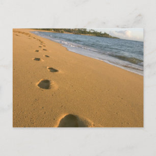 USA, Hawaii, Kauai, Kapa'a, beachfront. Postcard