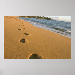 USA, Hawaii, Kauai, Kapa'a, beachfront. Poster
