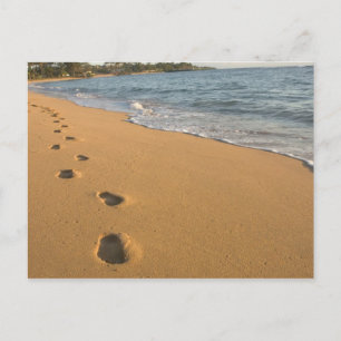 USA, Hawaii, Kauai, Kapa'a, beachfront. RF) Postcard