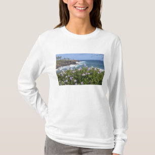 USA, Hawaii, Kauai, near Kapaa, northwest T-Shirt