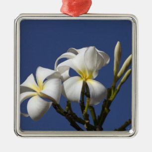 USA, Hawaii, Kauai, white plumeria. Metal Ornament