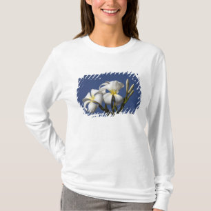 USA, Hawaii, Kauai, white plumeria. T-Shirt