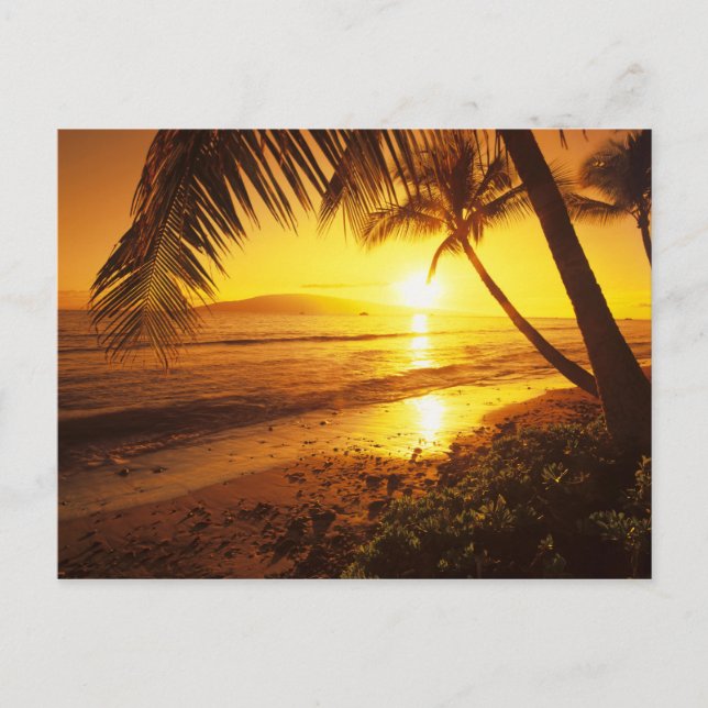 USA, Hawaii, Maui, Colorful sunset in a 2 Postcard (Front)