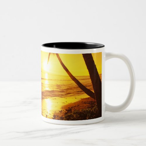 USA Hawaii Maui Colorful sunset in a 2 Two_Tone Coffee Mug