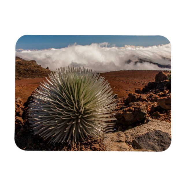 USA, Hawaii, Maui, Haleakala National Park Magnet (Horizontal)
