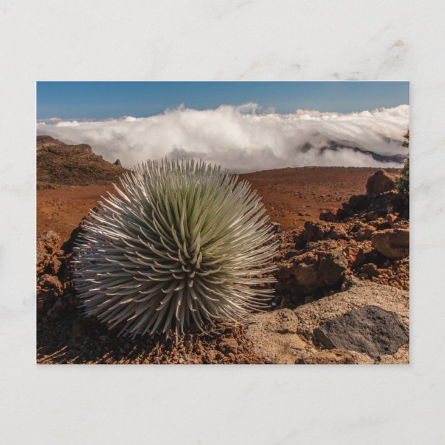 USA, Hawaii, Maui, Haleakala National Park Postcard (Front)