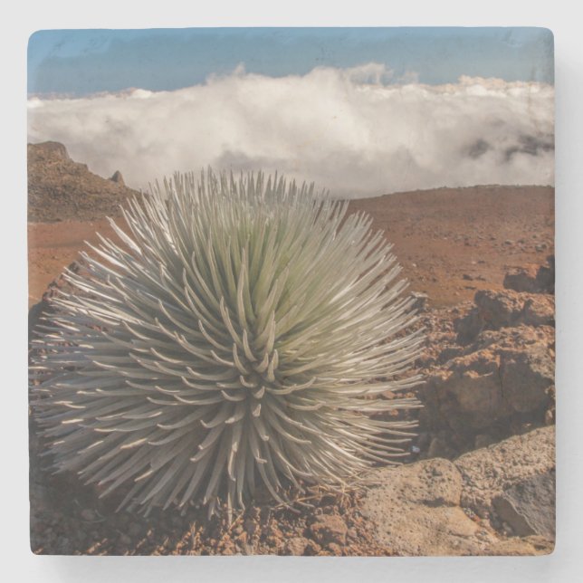 USA, Hawaii, Maui, Haleakala National Park Stone Coaster (Front)