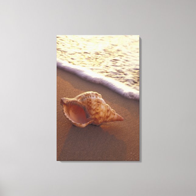 USA, Hawaii, Maui, Kihei, Evening light on Canvas Print (Front)