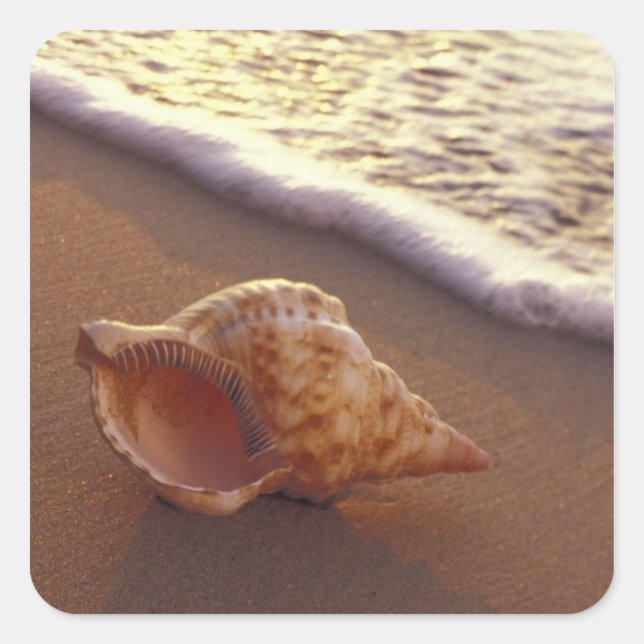USA, Hawaii, Maui, Kihei, Evening light on Square Sticker (Front)