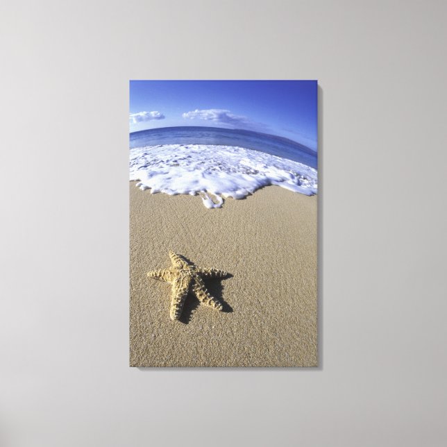 USA, Hawaii, Maui, Makena Beach, Starfish and Canvas Print (Front)