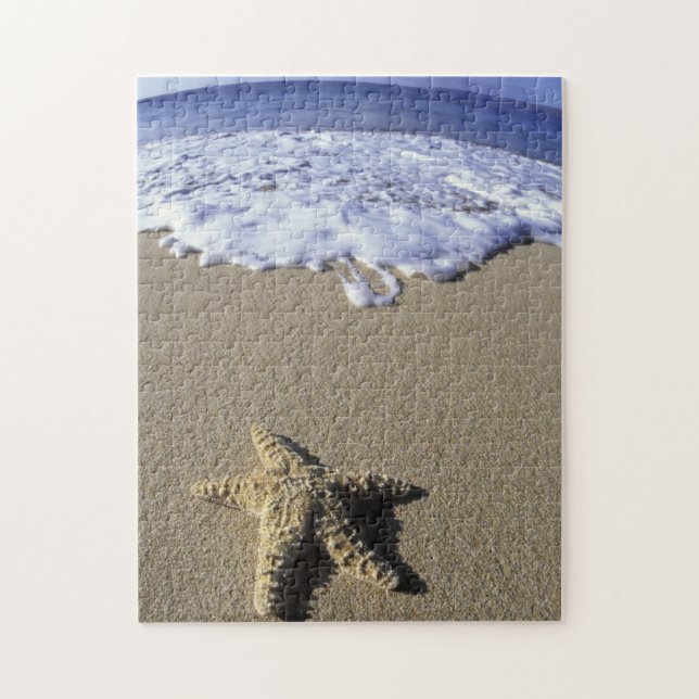 USA, Hawaii, Maui, Makena Beach, Starfish and Jigsaw Puzzle (Vertical)