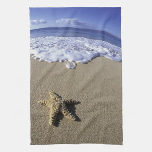 USA, Hawaii, Maui, Makena Beach, Starfish and Kitchen Towel