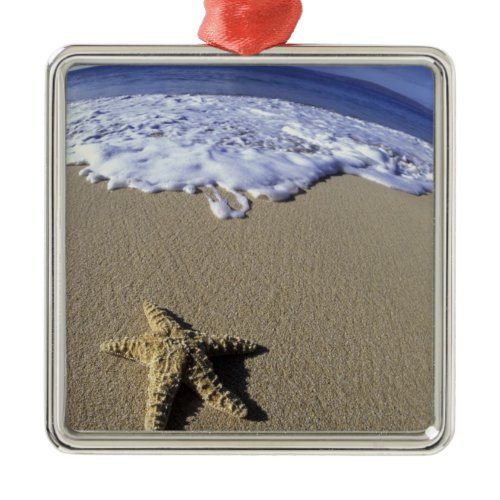 USA, Hawaii, Maui, Makena Beach, Starfish and Metal Ornament