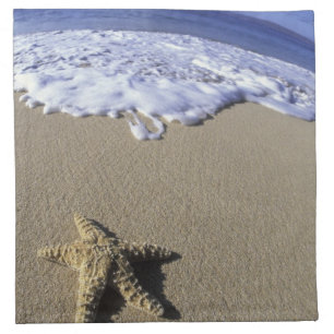 USA, Hawaii, Maui, Makena Beach, Starfish and Napkin