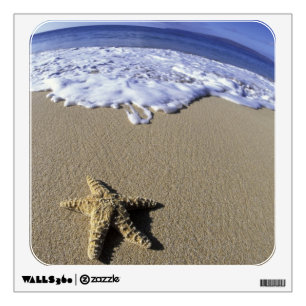 USA, Hawaii, Maui, Makena Beach, Starfish and Wall Decal