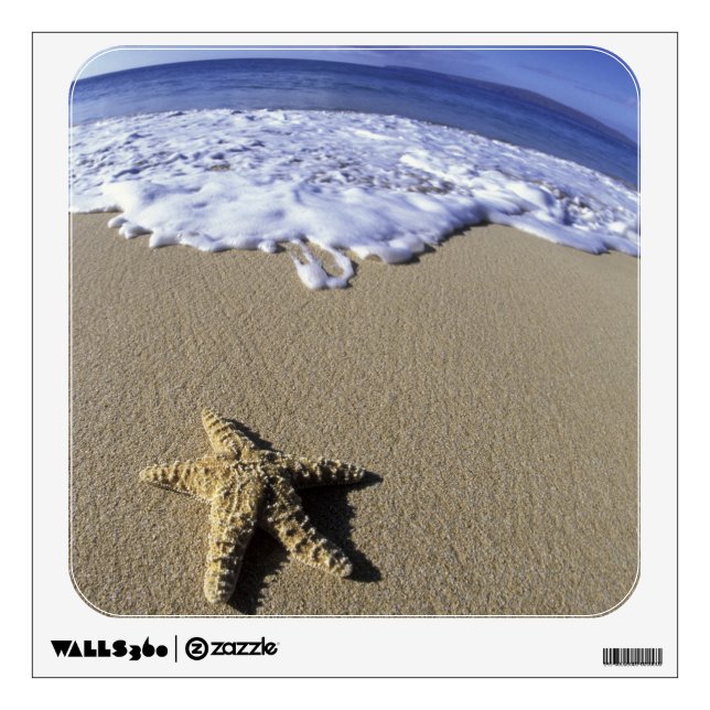 USA, Hawaii, Maui, Makena Beach, Starfish and Wall Decal (Front)