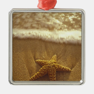 USA, Hawaii, Maui, Maui, Kihei, Starfish and Metal Ornament