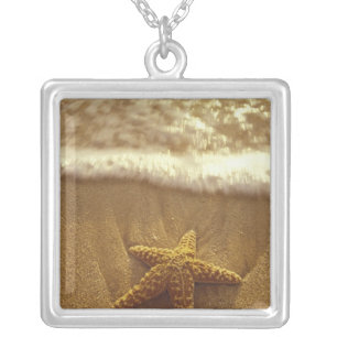 USA, Hawaii, Maui, Maui, Kihei, Starfish and Silver Plated Necklace