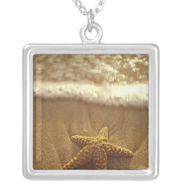 USA, Hawaii, Maui, Maui, Kihei, Starfish and Silver Plated Necklace (Front)