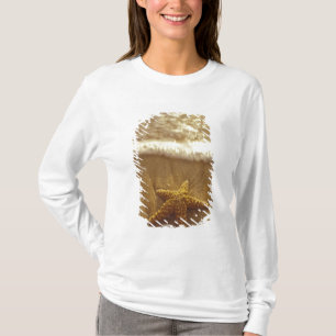 USA, Hawaii, Maui, Maui, Kihei, Starfish and T-Shirt