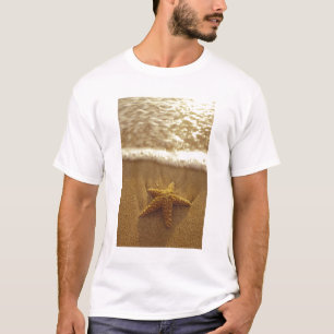 USA, Hawaii, Maui, Maui, Kihei, Starfish and T-Shirt
