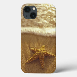 USA, Hawaii, Maui, Maui, Kihei, Starfish iPhone 13 Case