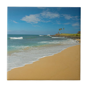USA, Hawaii, Molokai Island, Three Mile Beach Tile