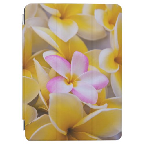 USA Hawaii Oahu Plumeria flowers in bloom 1 iPad Air Cover