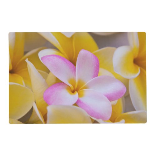 USA Hawaii Oahu Plumeria flowers in bloom 1 Placemat