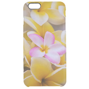 USA, Hawaii, Oahu, Plumeria flowers in bloom 1 Clear iPhone 6 Plus Case