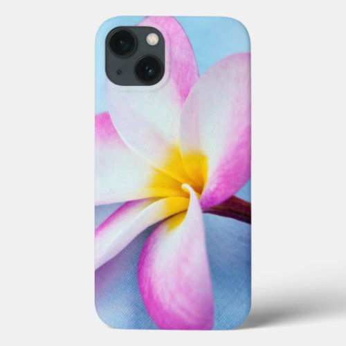 USA Hawaii Oahu Plumeria flowers in bloom 2 iPhone 13 Case