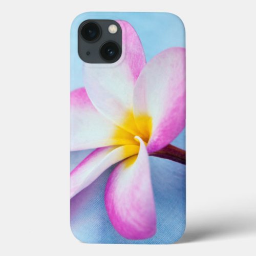 USA Hawaii Oahu Plumeria flowers in bloom 2 iPhone 13 Case