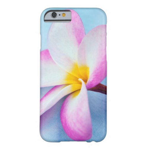 USA Hawaii Oahu Plumeria flowers in bloom 2 Barely There iPhone 6 Case