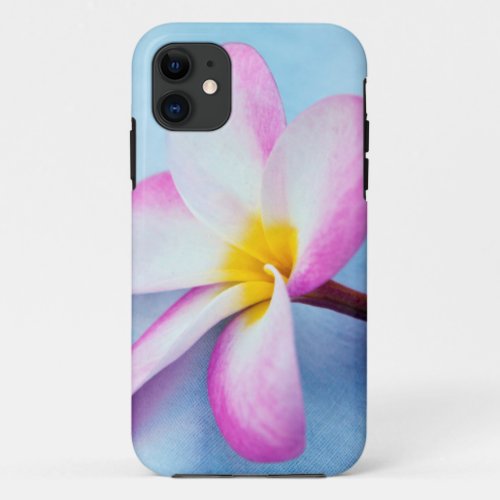 USA Hawaii Oahu Plumeria flowers in bloom 2 iPhone 11 Case