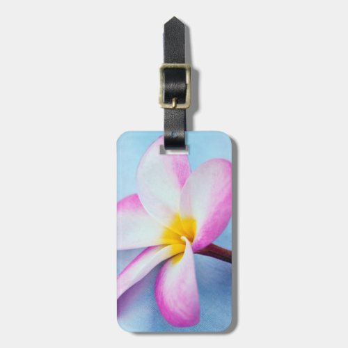 USA Hawaii Oahu Plumeria flowers in bloom 2 Luggage Tag